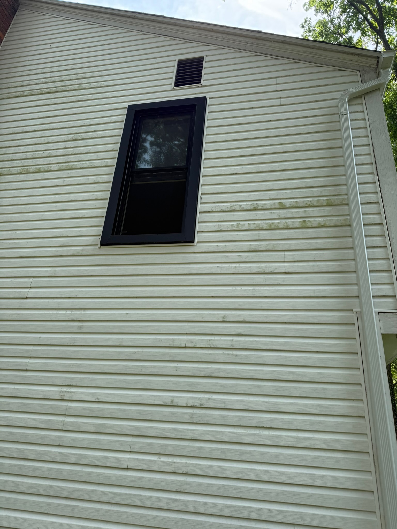 Before picture